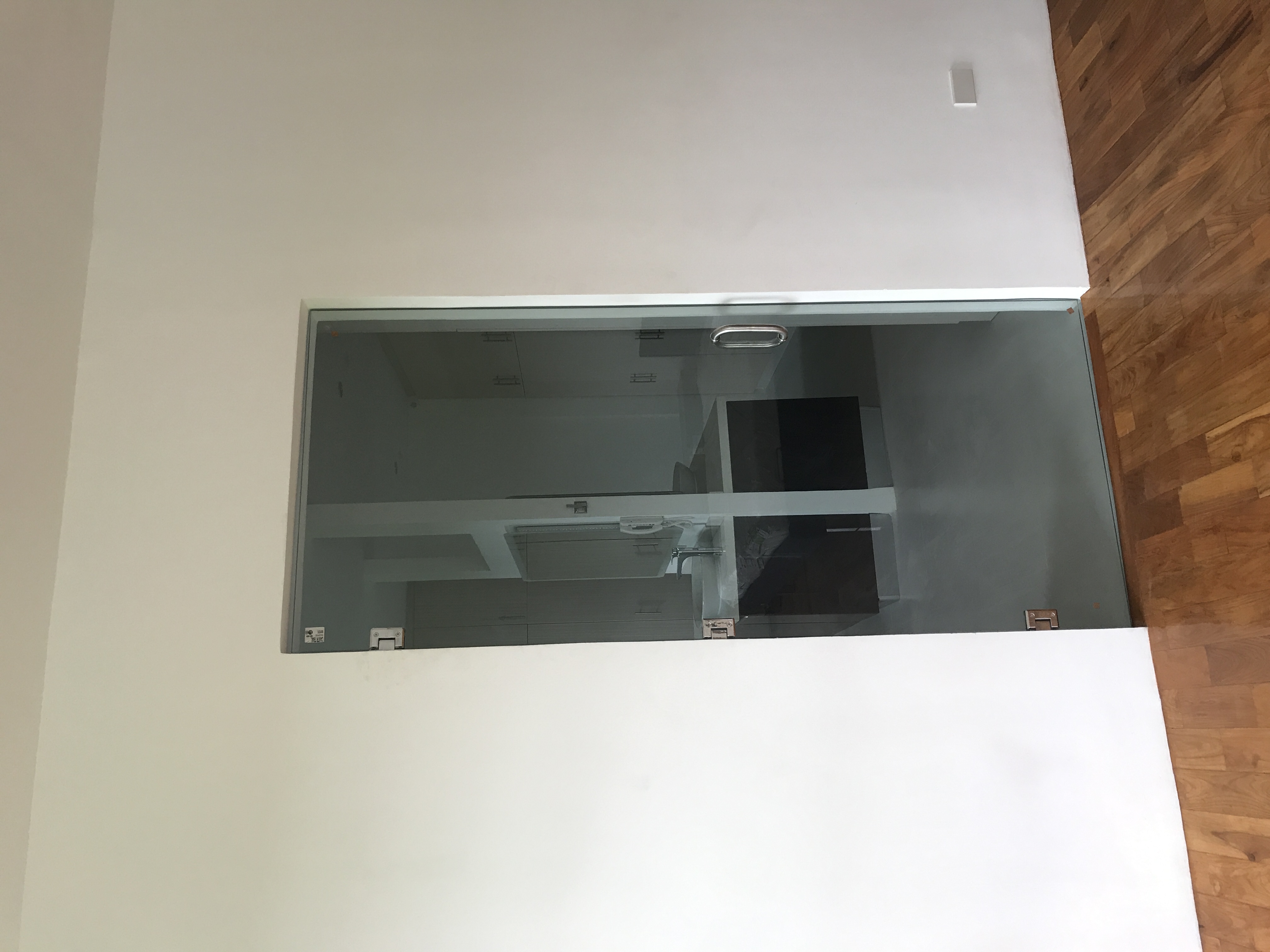 Tempered Glass Door